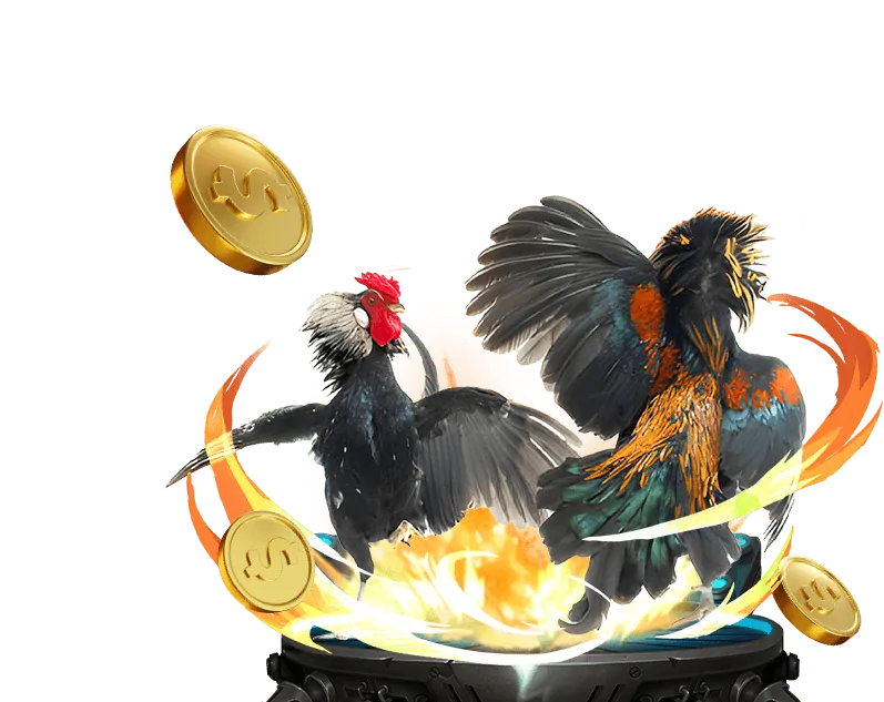 Cập nhật tính năng và cải tiến nền tảng ku cáino